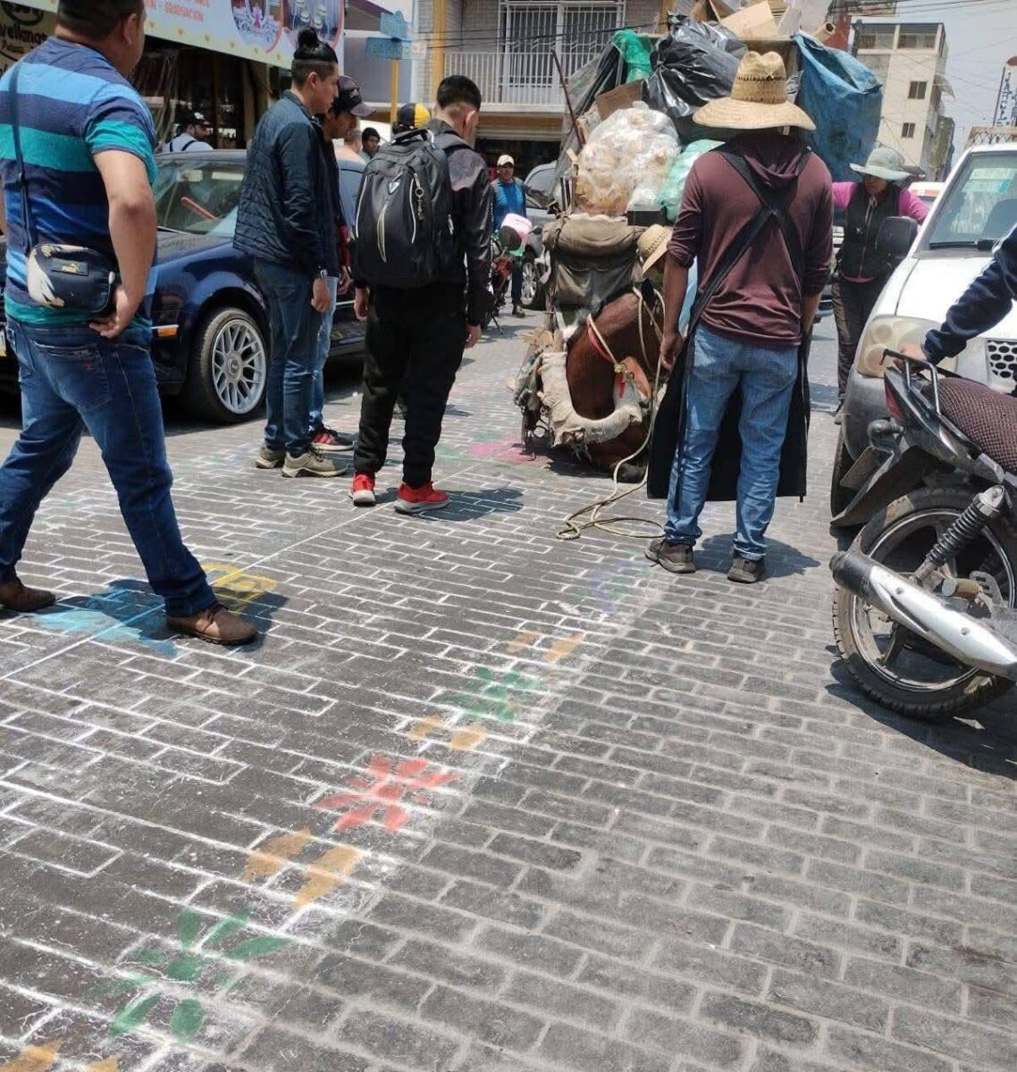 Dos juezas federales ordenaron al gobierno de San Martín Texmelucan frenar el maltrato animal a través del uso de carretas tiradas por caballos para la recolección de basura.