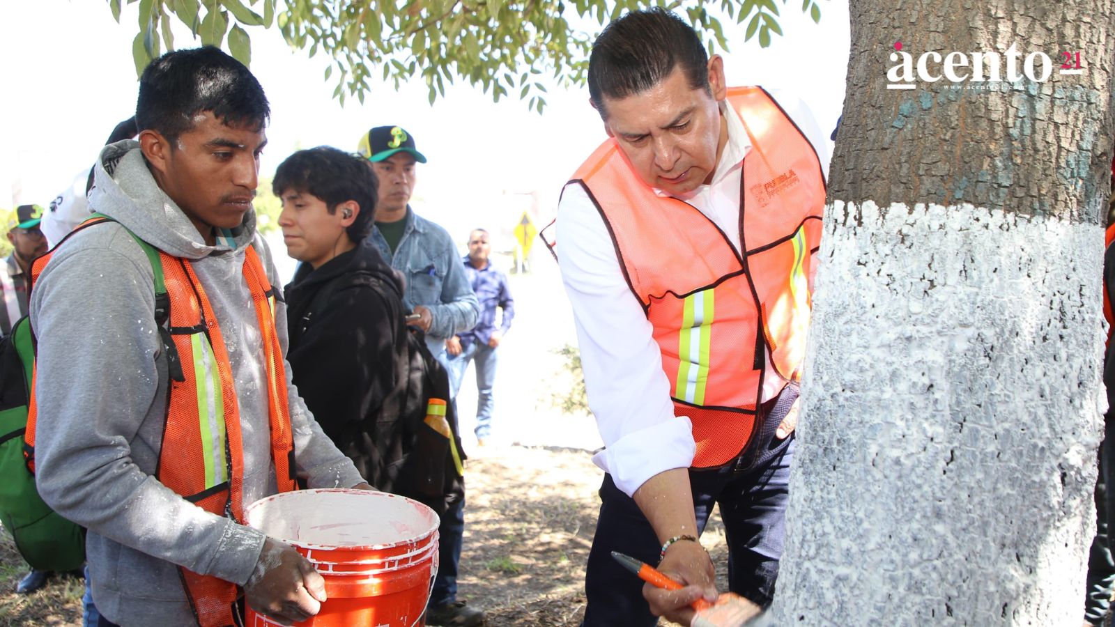 Con encalado, basado en criterios técnico-científicos, se protege arbolado urbano