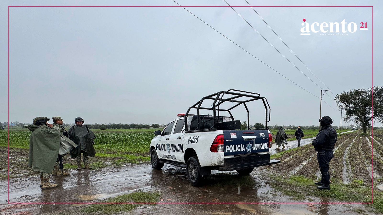 Abandonan tres cuerpos en campos de cultivo en Coronango, no fue un accidente, estaban amordazados