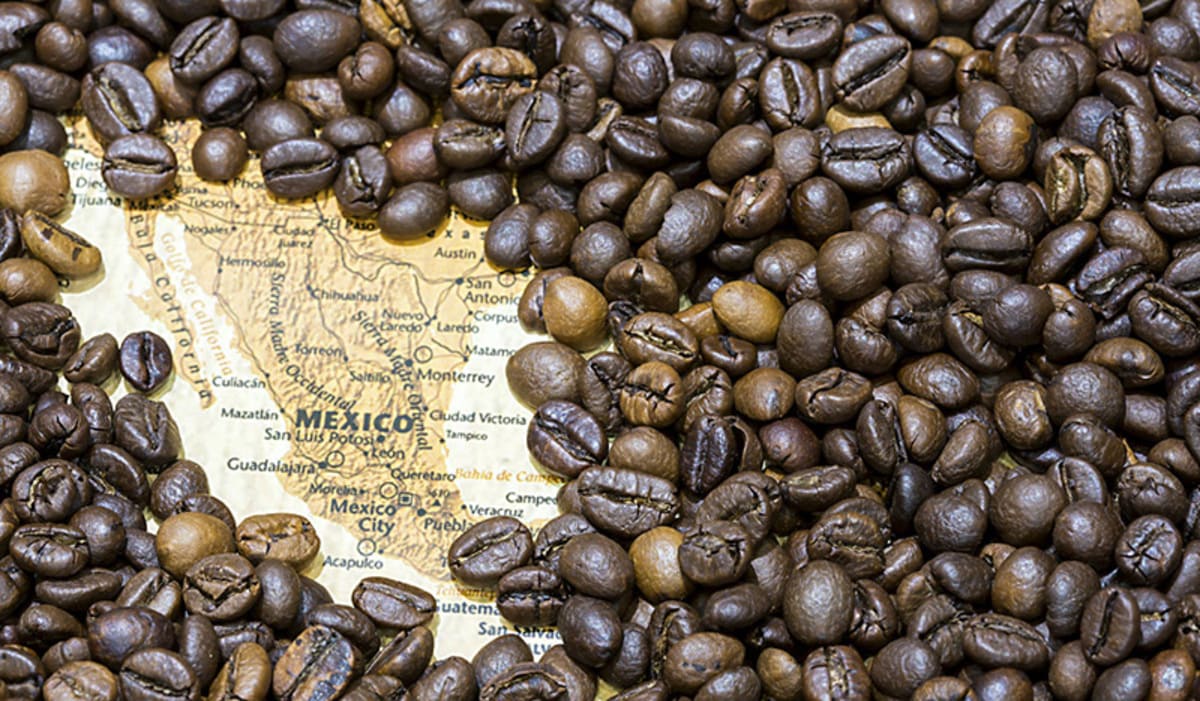 No te pierdas la Concafé en Puebla; habrá concursos, expositores y más