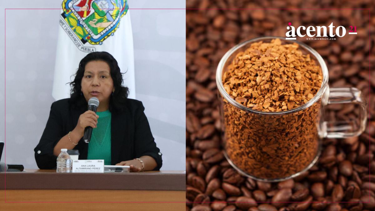 Café soluble 5 de Mayo estará lista entre septiembre y octubre: Desarrollo Rural