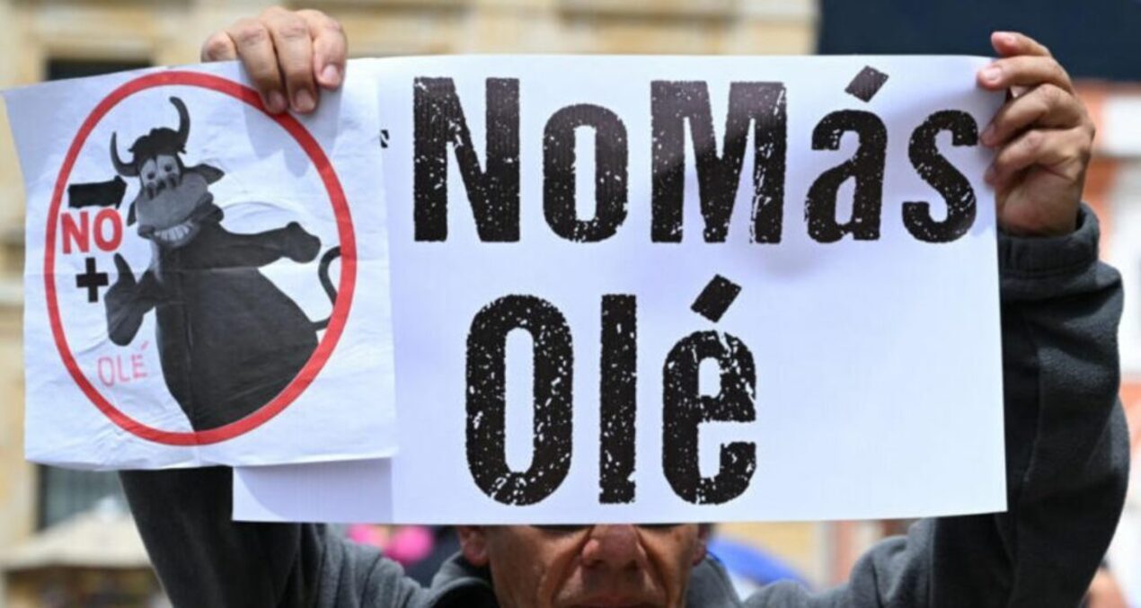 ¿Por qué se celebra el Día mundial Antitaurino?