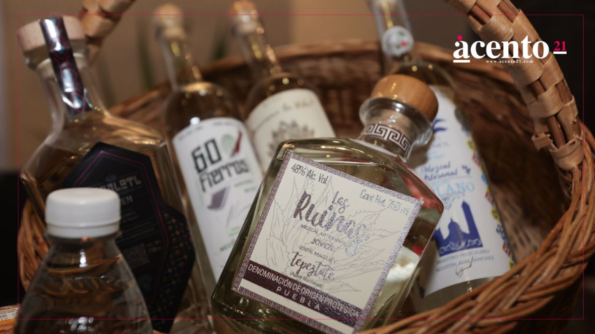 Proponen reducir impuesto para productores de mezcal en Puebla
