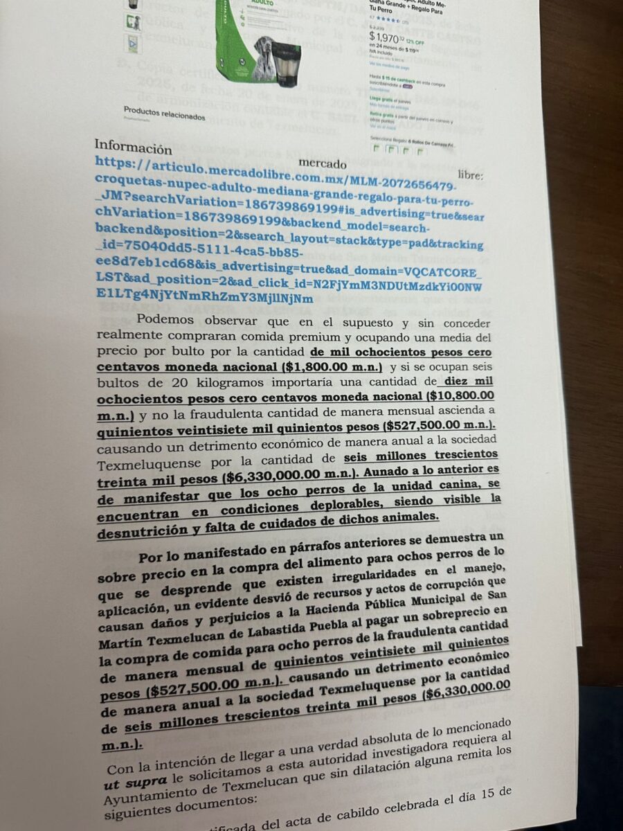Esto implica una diferencia de más de $516,000 pesos mensuales, que al proyectarse anualmente representa un presunto desfalco superior a $6.3 millones de pesos del erario público.