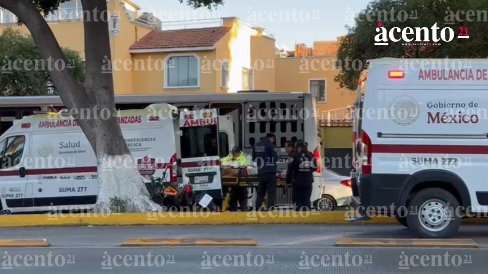 Motociclista choca contra un árbol del bulevar 5 de Mayo