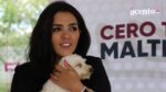 Van 4 detenidos por maltrato animal en Puebla