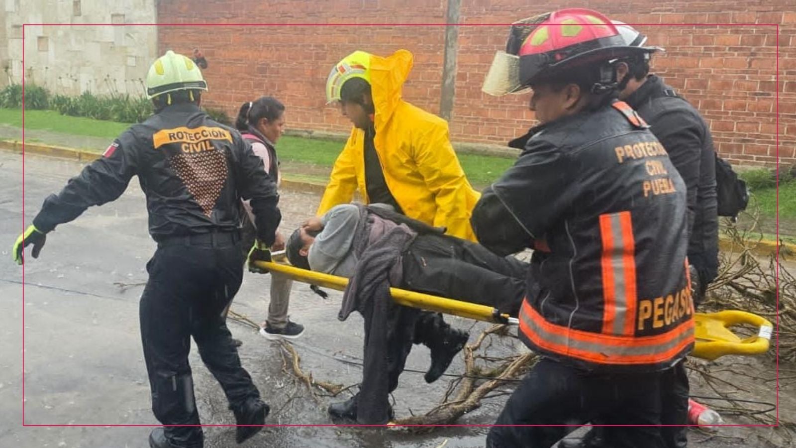 Atiende Protección Civil Municipal a mujer lesionada por caída de árbol