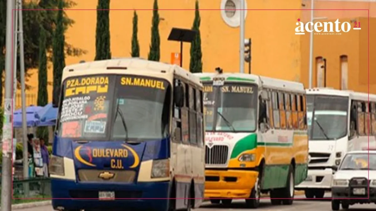 Transportistas de Puebla que atropellen a perritos serán sancionados