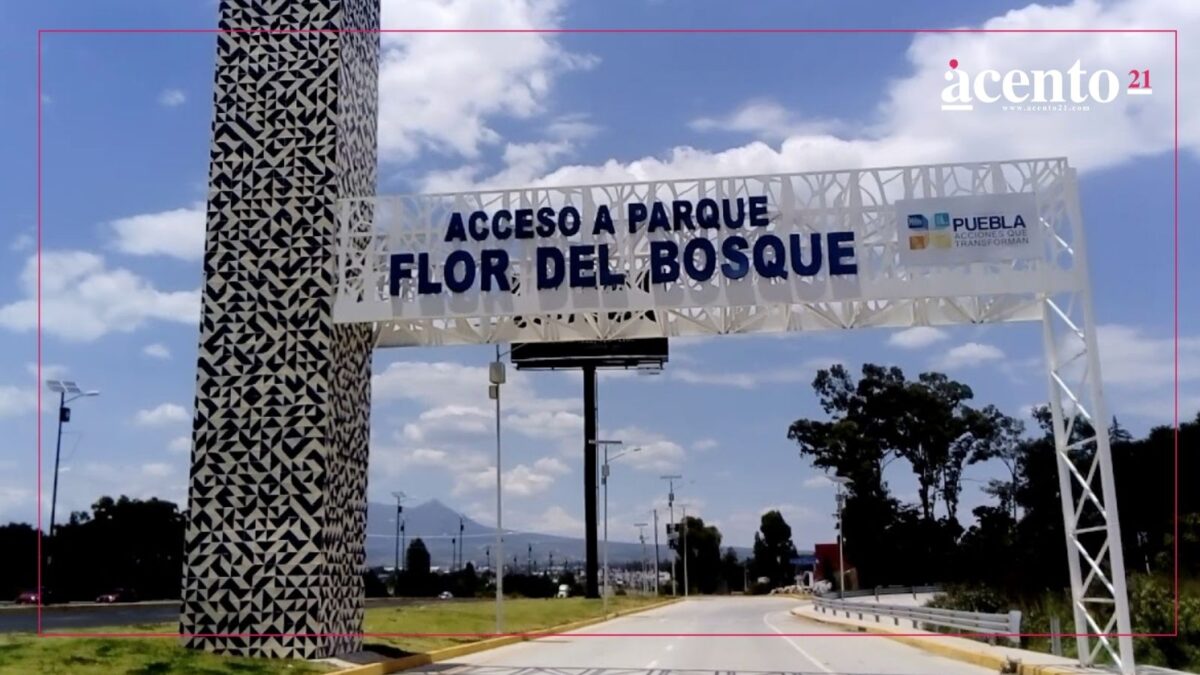 ¿Sin planes para el verano? Disfruta de estas actividades en el parque Flor del Bosque