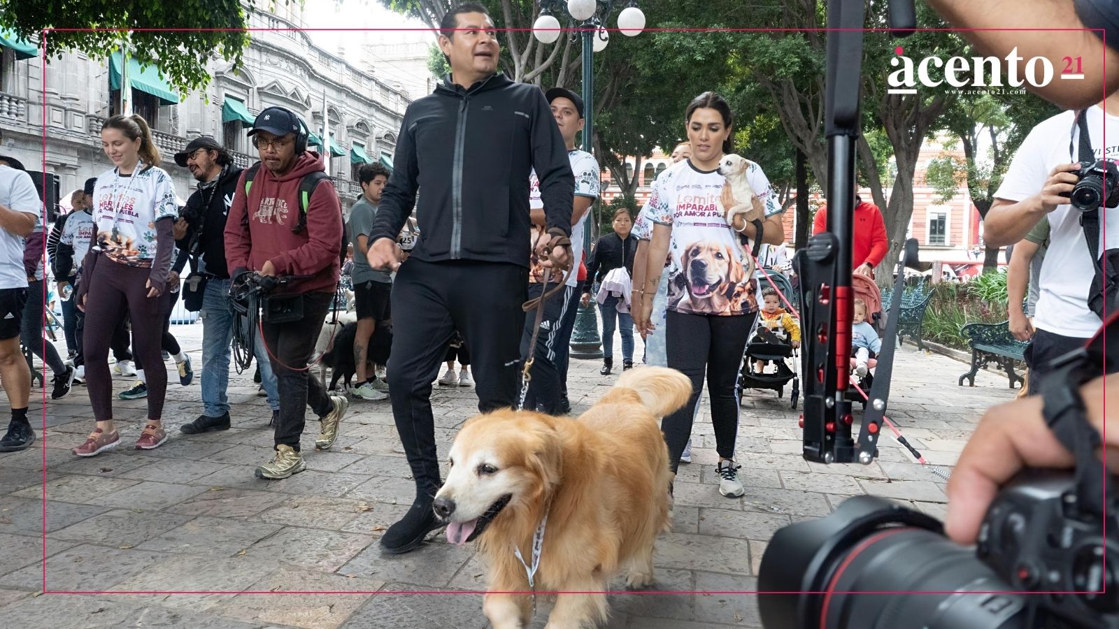 Armenta llama a padres no regalar perritos en Puebla; invita a la adopción responsable