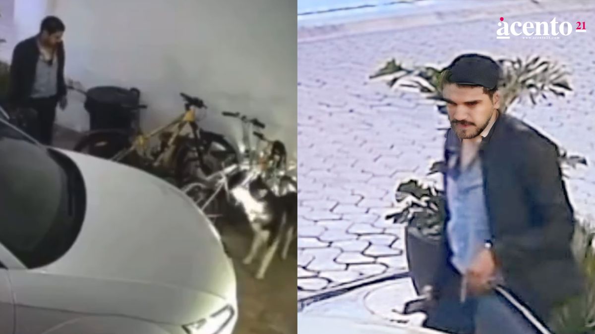 Crueldad animal en Cholula: Borracho intenta atropellar a la perrita Yaki