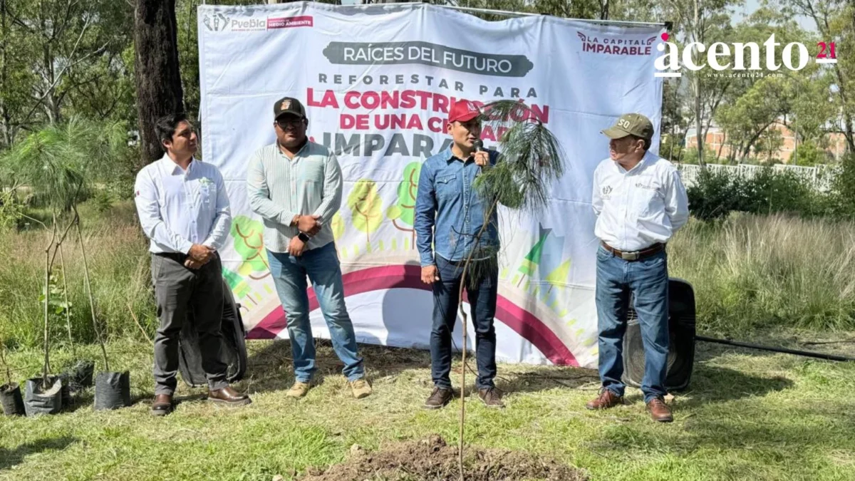 Gobierno de la Ciudad impulsa una Puebla más verde: 520 nuevos árboles para fortalecer nuestras áreas verdes