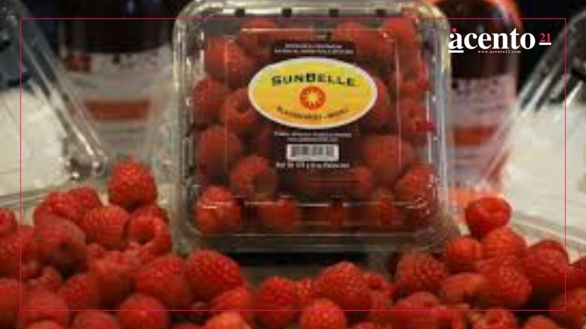 ¿Salsa macha de moras? Esto puedes encontrar en la Feria de las Berries de Huejotzingo