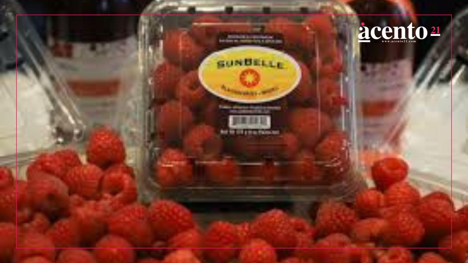 ¿Salsa macha de moras? Esto puedes encontrar en la Feria de las Berries de Huejotzingo