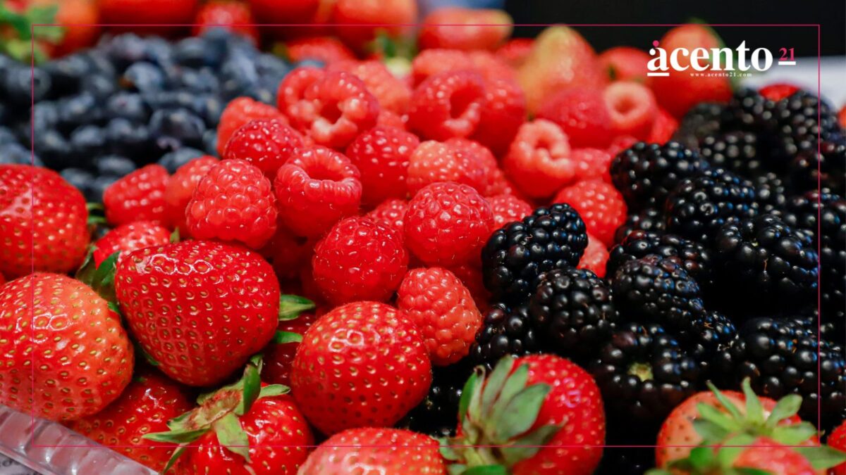 Feria de las Berries Huejotzingo 2025 ofrecerá transporte gratuito para los visitantes