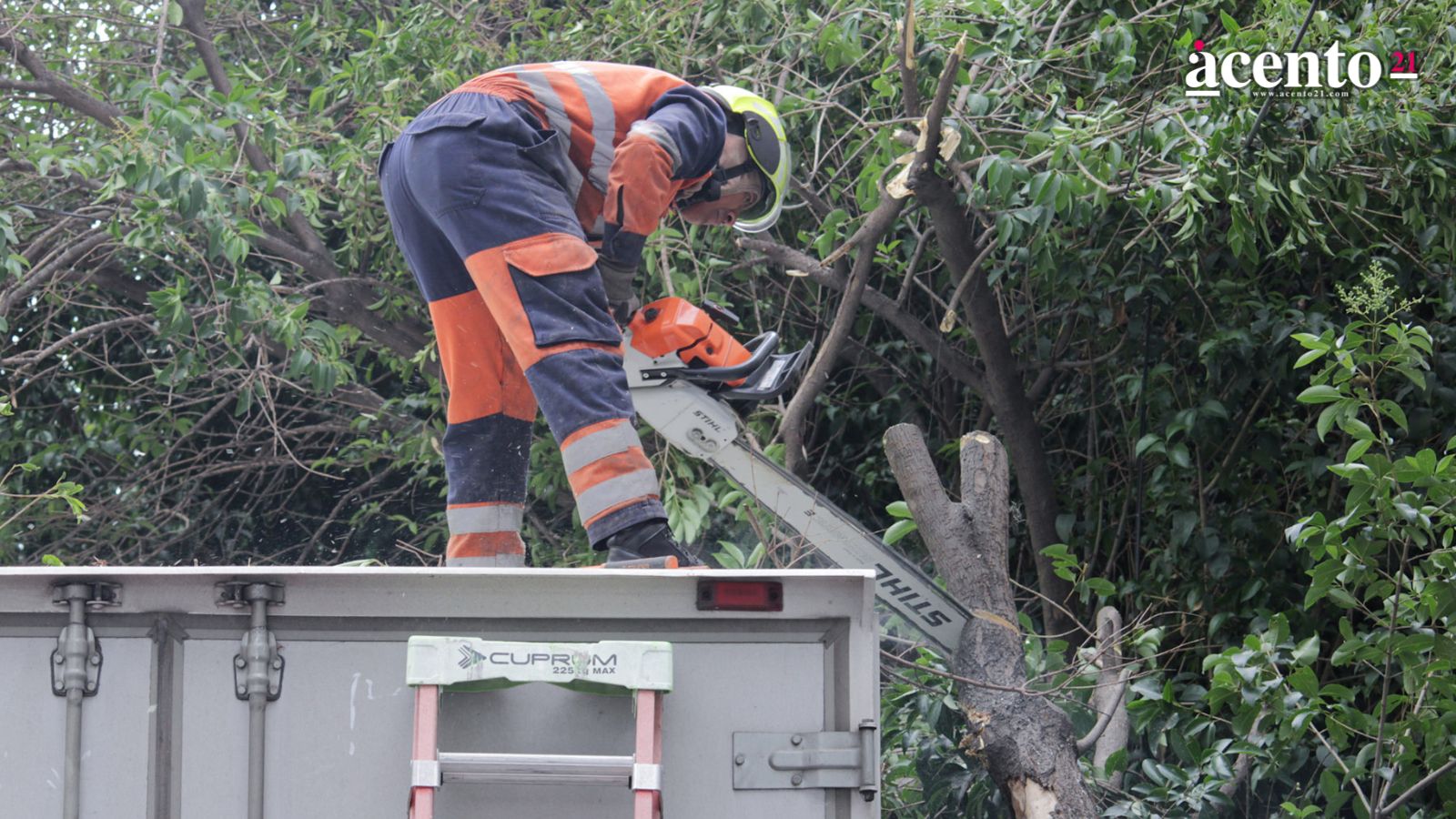 Ayuntamiento de Puebla poda más de 5 mil árboles con riesgo de caída en temporada de lluvias