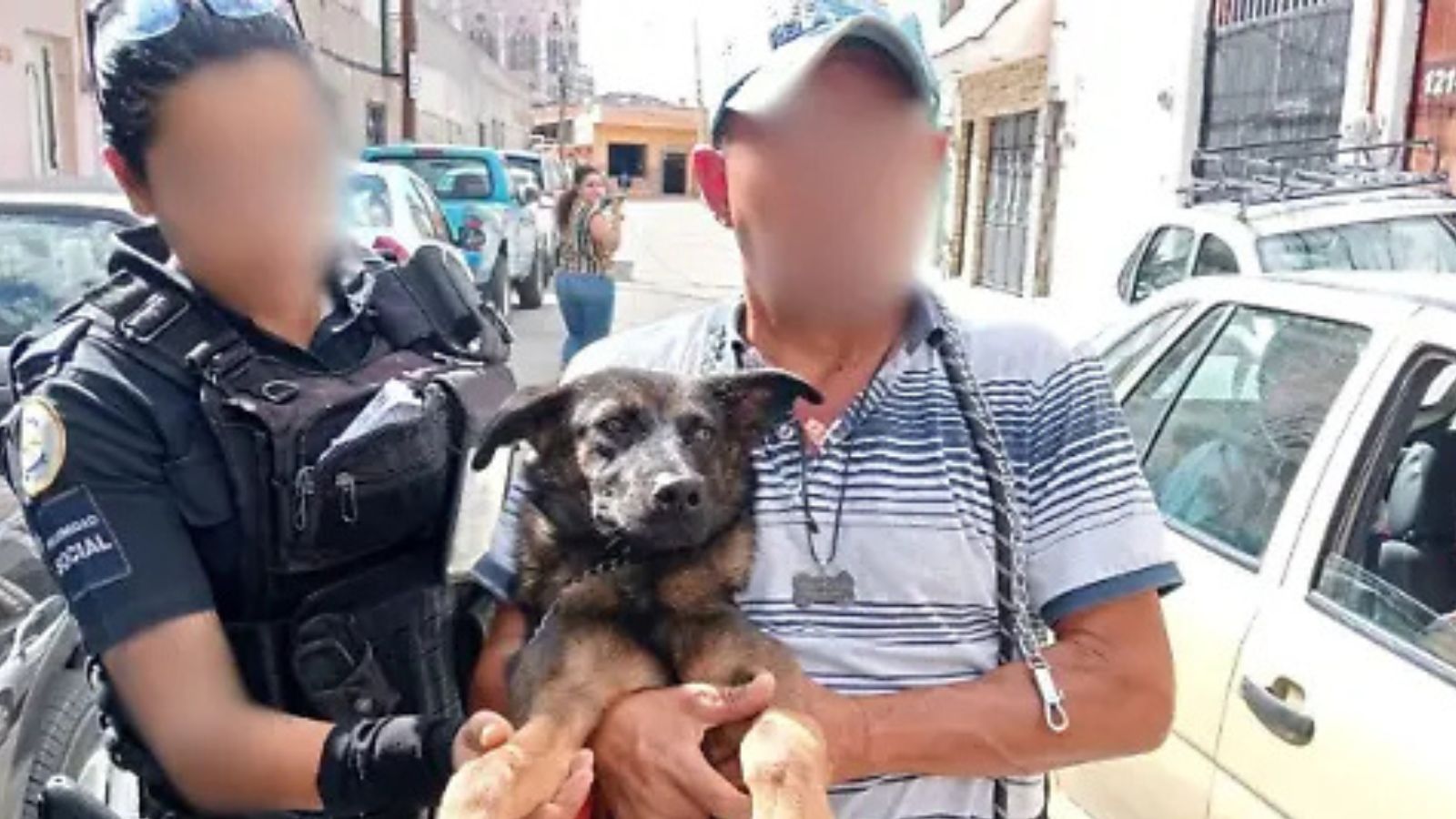 En un año presentan 495 denuncias por maltrato animal en Puebla capital