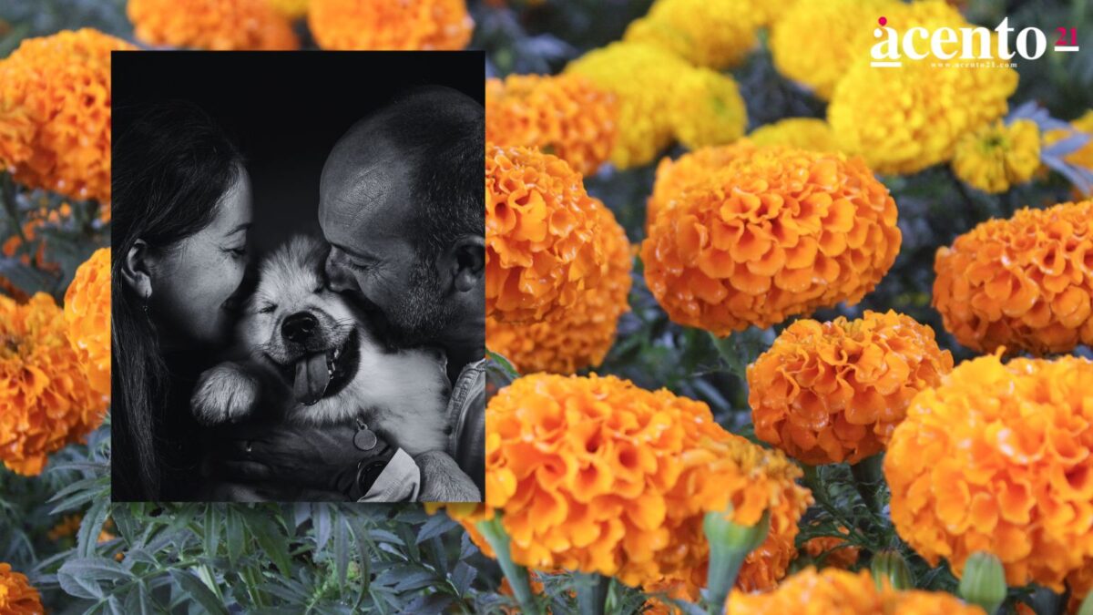 Comienza Día de Muertos con ofrendas para mascotas