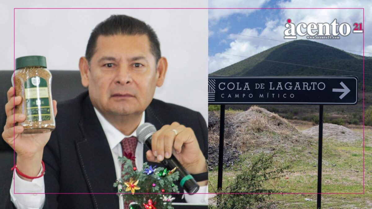 Cola de Lagarto será un conjunto de proyectos, no solo un parque acuático: Armenta