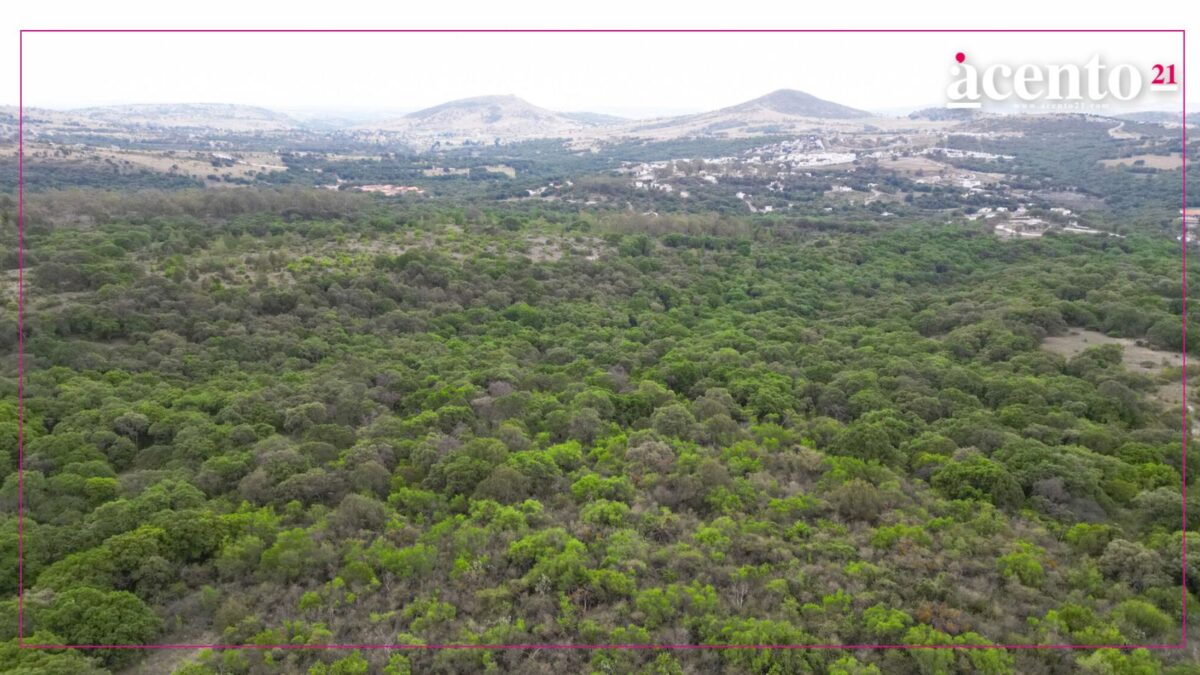Flor del Bosque sumará 96 hectáreas y será casi del tamaño de Chapultepec