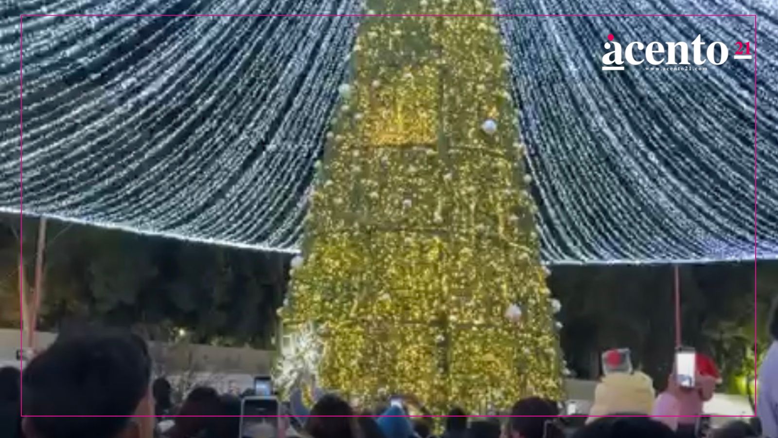 Encienden árbol de Navidad en San Pedro Cholula