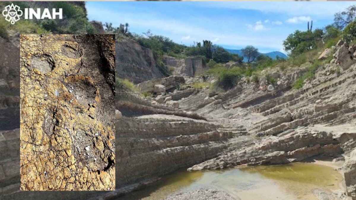 ¿Dinosaurios en Puebla? INAH confirma hallazgo de huellas que datan 120 millones de años