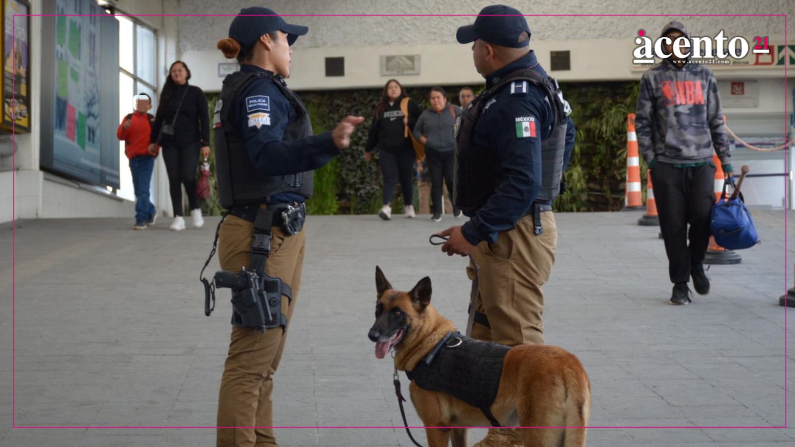 Destaca Gobierno de Pepe Chedraui intervenciones exitosas de la Unidad Canina de la SSC