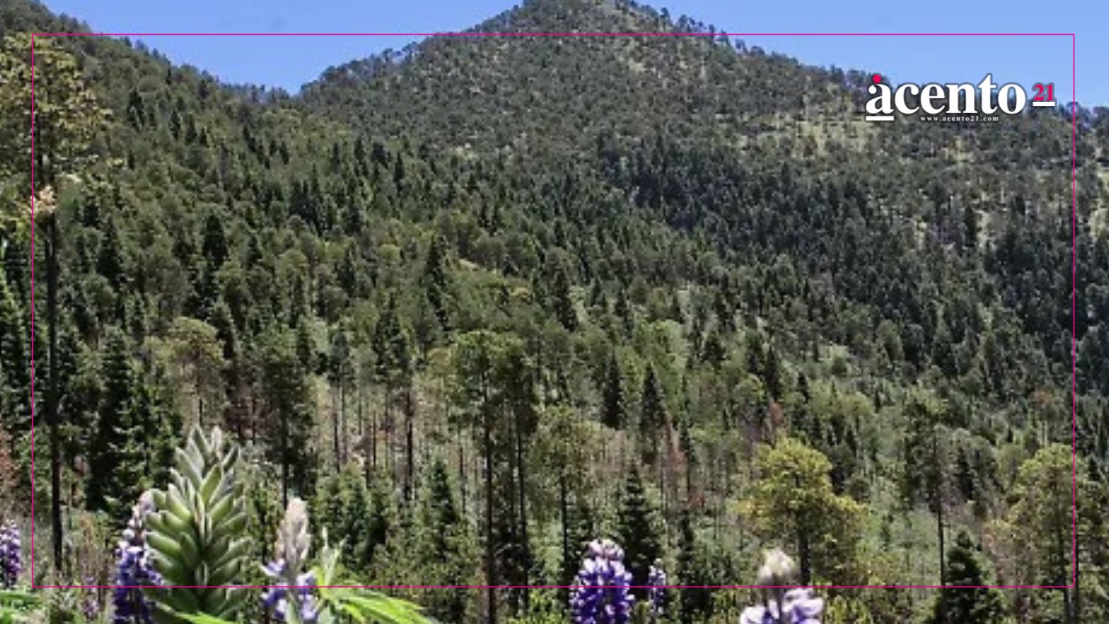 En 2026 inicia construcción del ecoparque de la Malinche