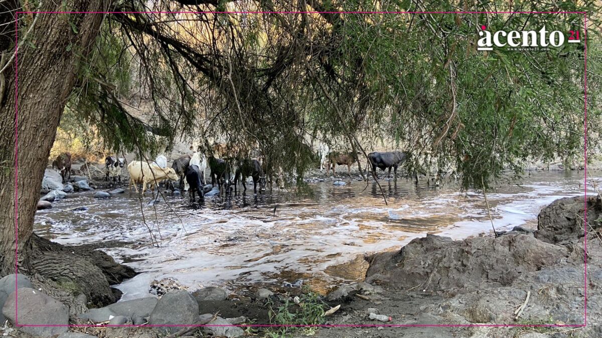 Gobierno de Puebla busca sanear río Nexapa en Izúcar de Matamoros