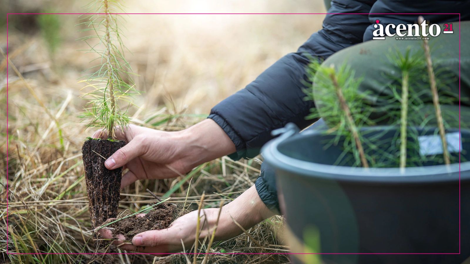 Cablebús reducirá contaminación en Puebla: Bety Manrique; pide reforestación con estudio