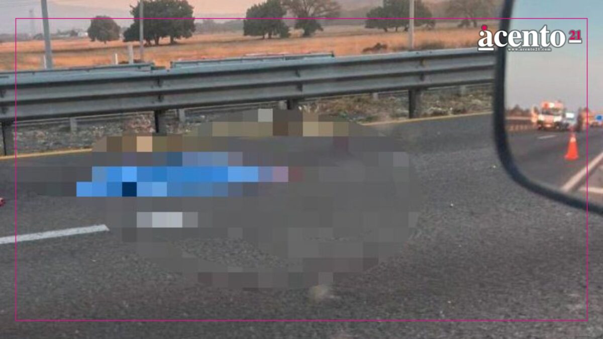 Una persona murió arrollada en la Puebla-Orizaba