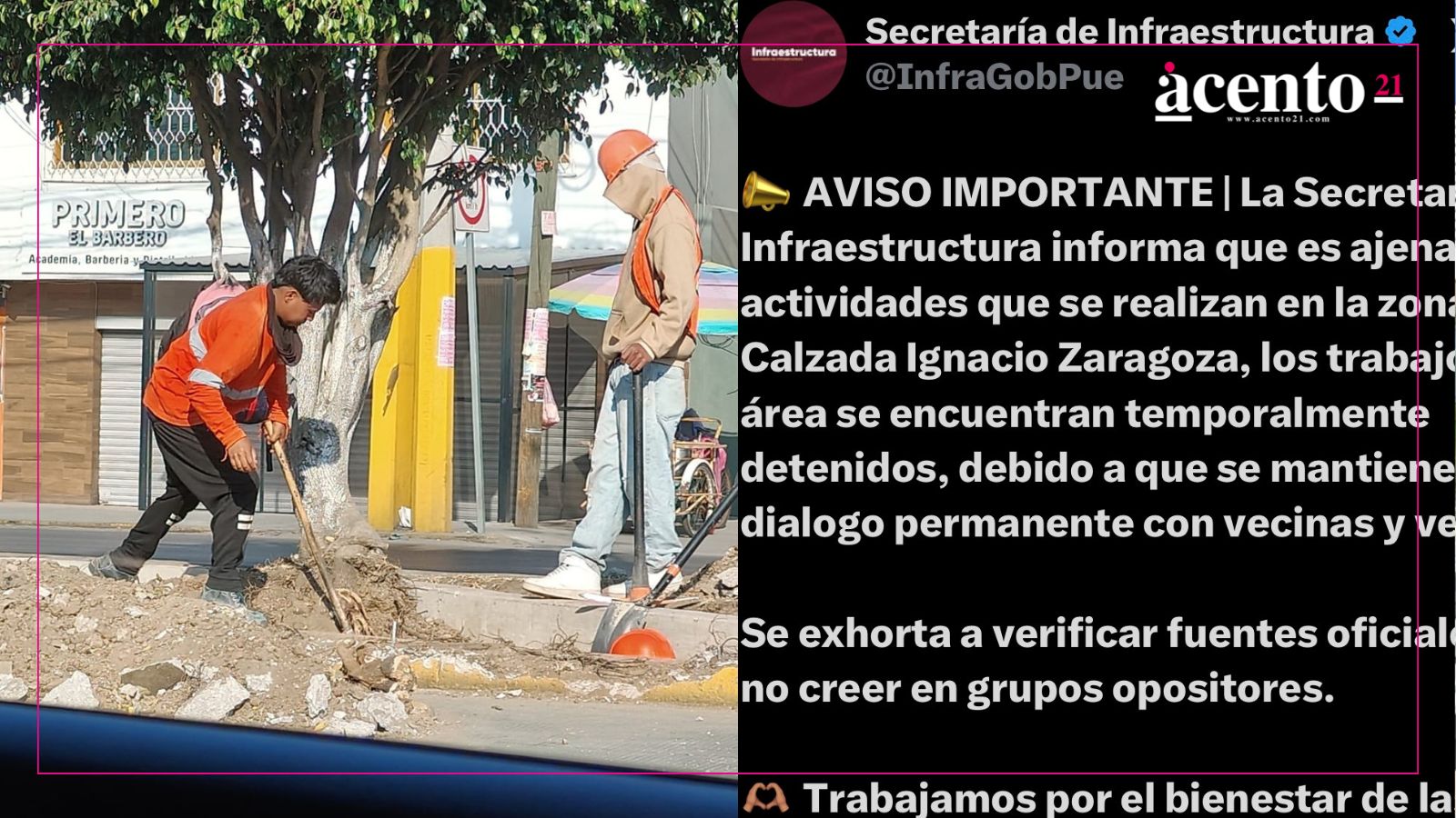 Reportan tala ilegal de árboles en Calzada Zaragoza; Infraestructura ya socializa obras con vecinos Reportan tala ilegal de árboles en Calzada Zaragoza; Infraestructura ya socializa obras con vecinos