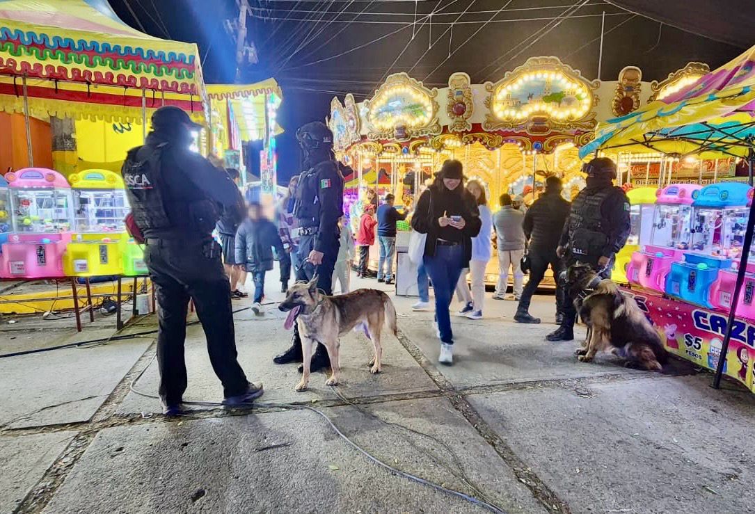Seguridad coordinada en Feria de Sanctorum Cuautlancingo, Pue.- La Secretaría de Seguridad Ciudadana y Protección Civil del municipio de Cuautlancingo, a través de la Dirección de Seguridad Ciudadana y en coordinación con la Dirección de Seguridad Vial, Protección Civil y Guardias Ciudadanos, implementó el operativo “Feria Segura” en el marco de las festividades de la junta auxiliar de Sanctorum, con el objetivo de salvaguardar la integridad de las familias y mantener el orden público. Como parte del dispositivo, se contó con la participación de diversas instancias, entre ellas áreas de giros comerciales, autoridades migratorias y una célula especializada K9 (binomios caninos), fortaleciendo las labores de vigilancia, prevención y disuasión del delito. Durante el operativo, la intervención de los binomios K9 permitió la detección de sustancias ilícitas, lo que derivó en la detención de diversas personas por la probable posesión de estupefacientes al interior de un establecimiento. En consecuencia, se procedió a la clausura del inmueble, en apego a la normatividad vigente, contribuyendo al fortalecimiento de la seguridad en la zona. Cabe destacar que, gracias a la coordinación interinstitucional, las actividades desarrolladas hasta el momento en la feria de Sanctorum se han llevado a cabo con saldo blanco, garantizando un ambiente seguro para las y los asistentes. De manera complementaria, se mantienen operativos permanentes en distintos giros comerciales, mediante la coordinación de diversas áreas del Gobierno Municipal, con la finalidad de supervisar el cumplimiento de la normatividad vigente y reforzar las condiciones de seguridad en el municipio. La SSCyPC reitera su compromiso de continuar trabajando de manera coordinada para preservar la tranquilidad y el bienestar de la ciudadanía.