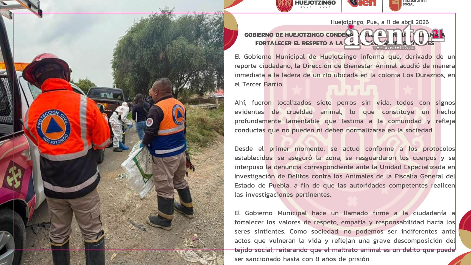Gobierno de Huejotzingo condena crueldad animal y llama a fortalecer el respeto a la vida de los seres sintientes
