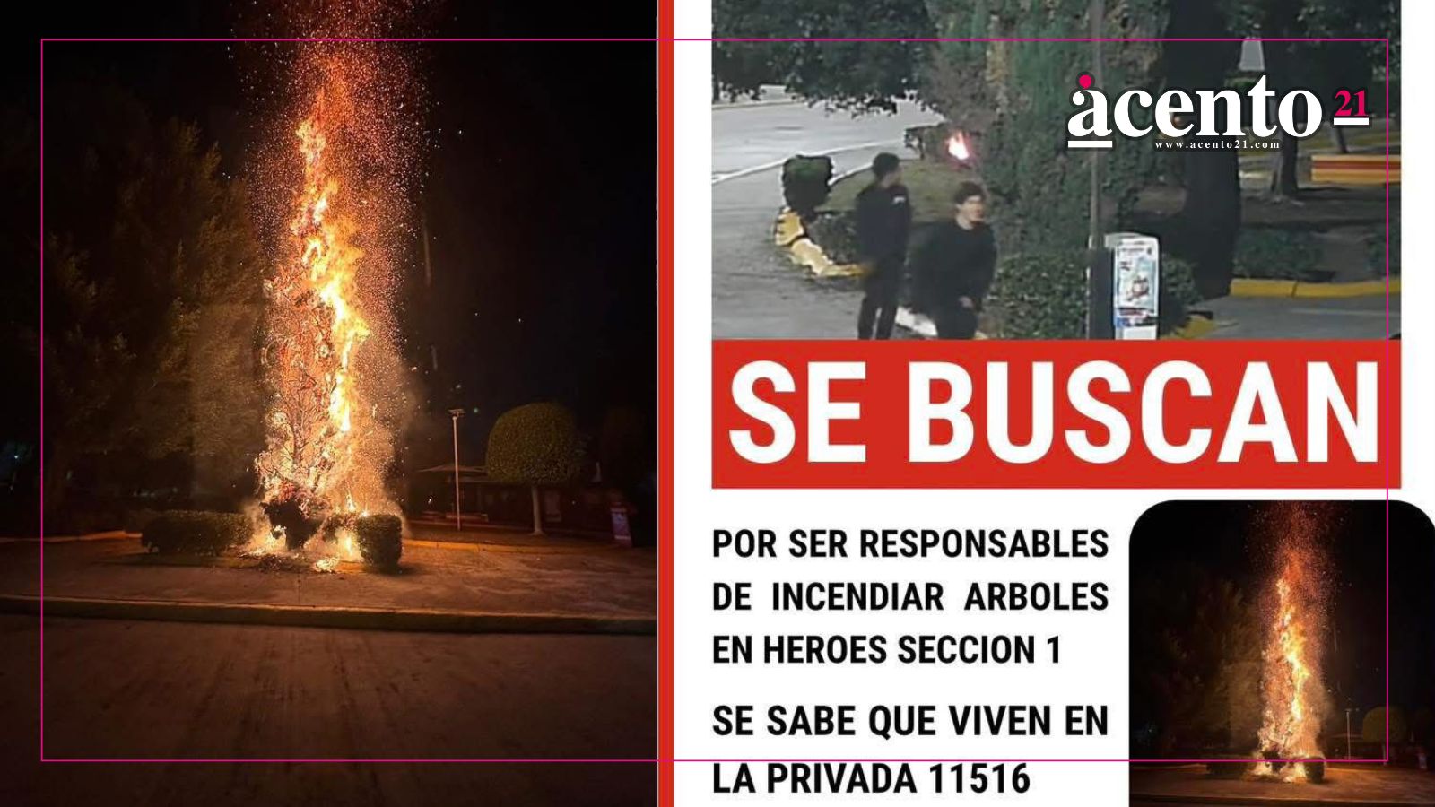 Par de jóvenes incendian árboles en Los Héroes Puebla