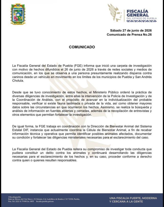 Sujeto dispara desde su camioneta a perritos de la calle entre San Andrés Cholula y Puebla; FGE ya indaga el caso