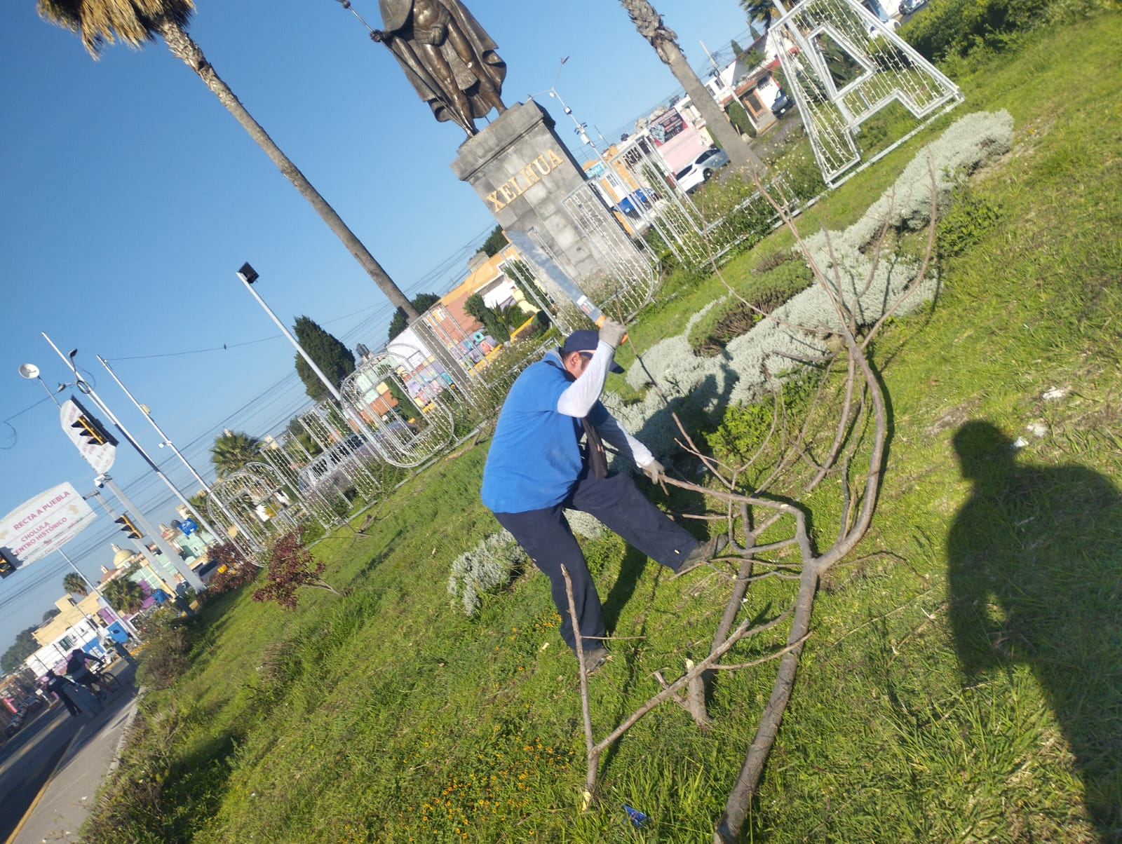 Tonantzin Fernández refuerza mantenimiento de parques y áreas verdes en San Pedro Cho