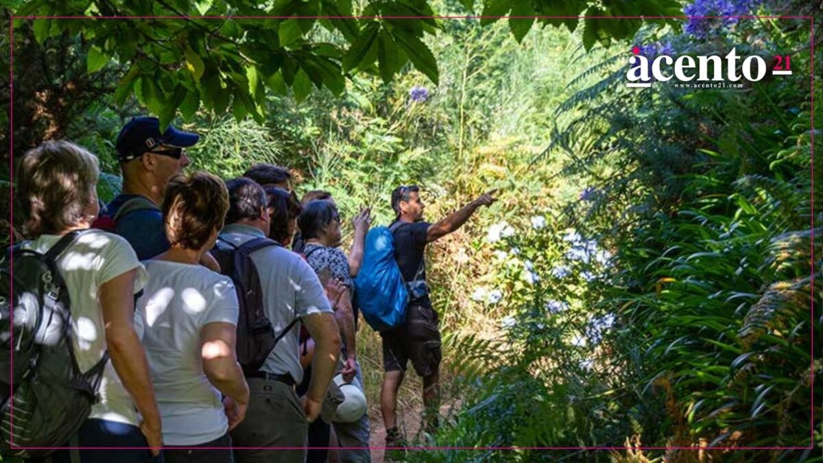 Hasta 2 años de cárcel para guías de aventura sin certificación en Puebla