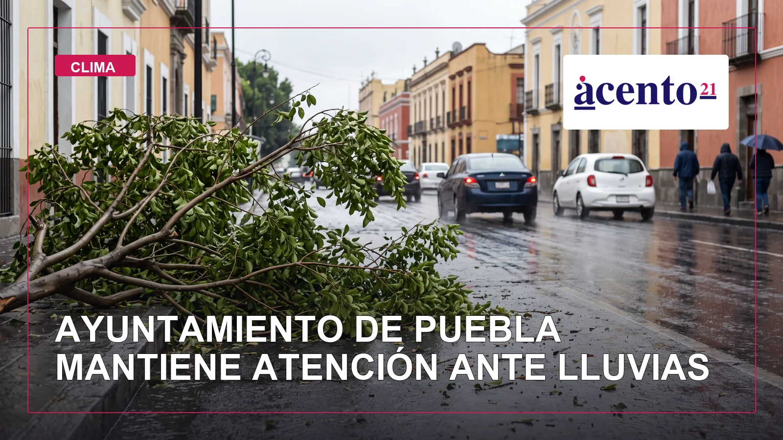 Ramas caídas sobre una calle mojada de Puebla después de la lluvia